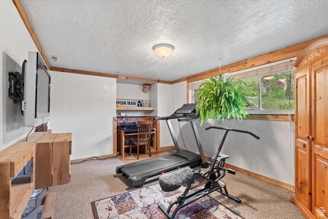 3275 N 250 E, North Ogden, UT 84414 - exercise area featuring carpet, a textured ceiling, and baseboards