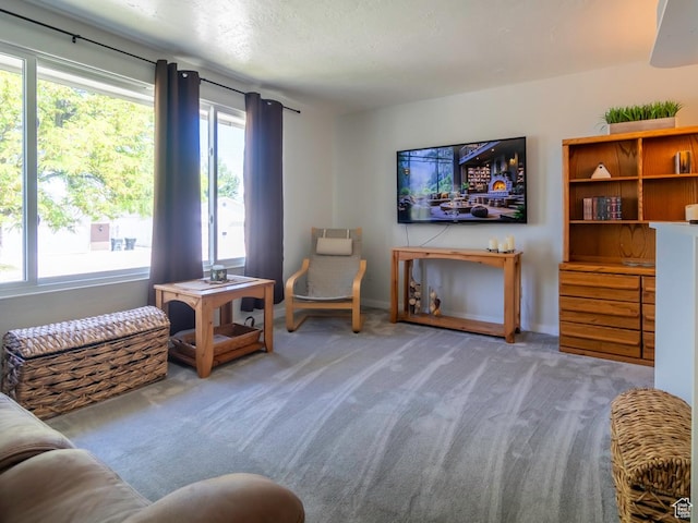 2567 W 2975 S, West Valley City, UT 84119 - sitting room featuring carpet floors and baseboards