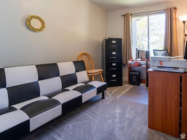2567 W 2975 S, West Valley City, UT 84119 - view of carpeted home office