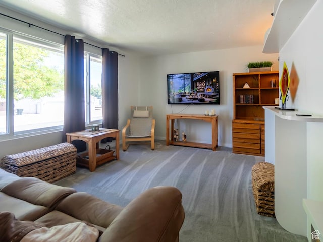 2567 W 2975 S, West Valley City, UT 84119 - carpeted living room featuring baseboards and a textured ceiling