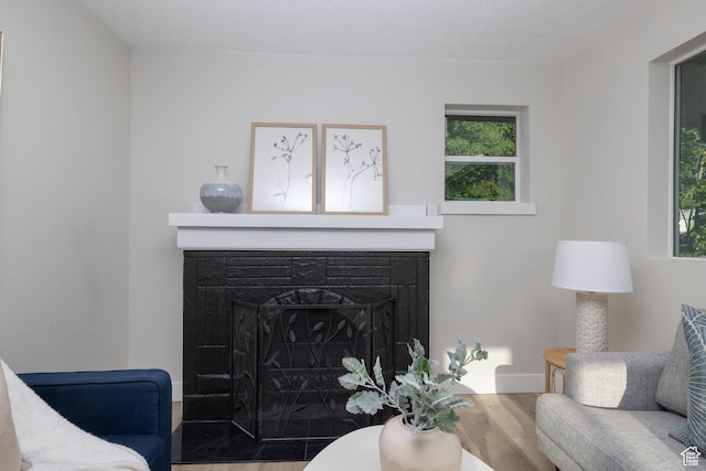 21 E 8680 S, Sandy, UT 84070 - living room featuring a fireplace, wood finished floors, plenty of natural light, and baseboards