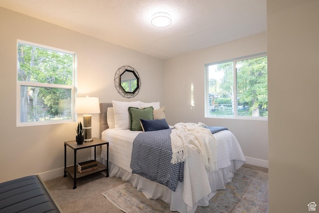 21 E 8680 S, Sandy, UT 84070 - carpeted bedroom with baseboards