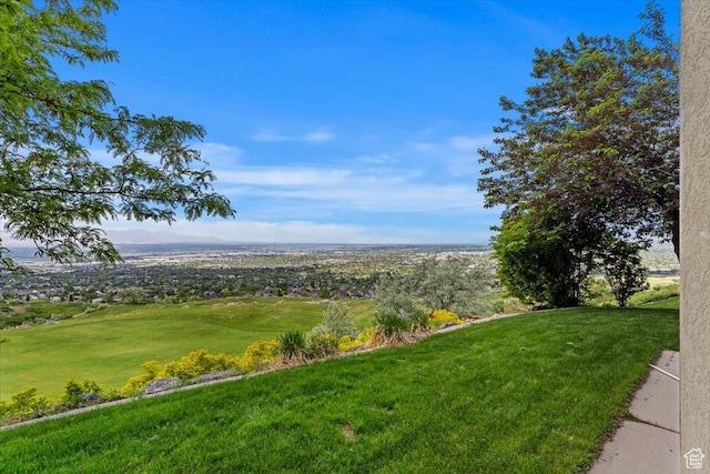14248 Tumbleweed Way, Draper, UT 84020 - view of green lawn