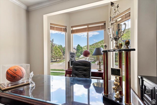 14248 Tumbleweed Way, Draper, UT 84020 - home office featuring crown molding
