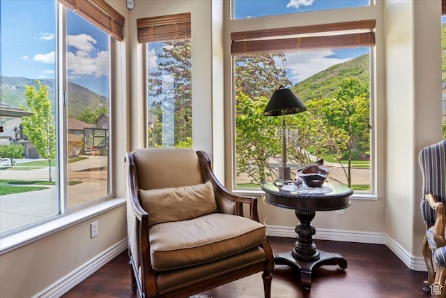 14248 Tumbleweed Way, Draper, UT 84020 - living area featuring a mountain view, wood finished floors, and baseboards