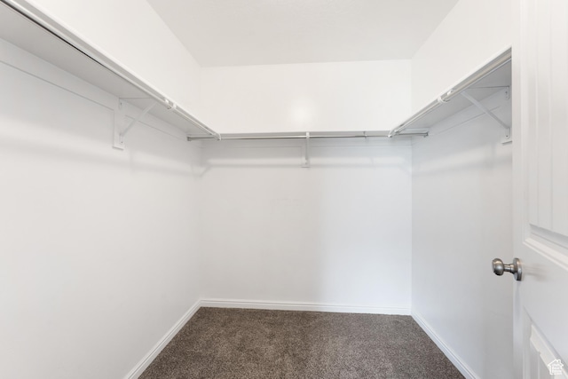 2956 S Willow Creek Dr, Saratoga Springs, UT 84045 - walk in closet featuring carpet