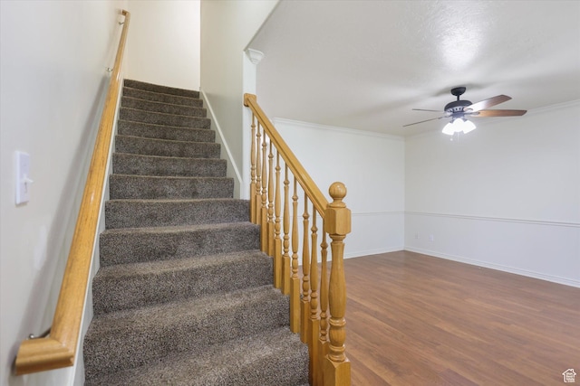 894 N Main St Unit 13, Orem, UT 84057 - staircase featuring wood finished floors, a ceiling fan, baseboards, and ornamental molding