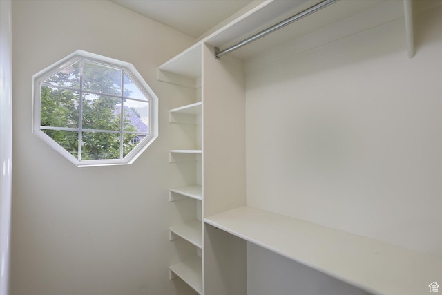 894 N Main St Unit 13, Orem, UT 84057 - view of walk in closet