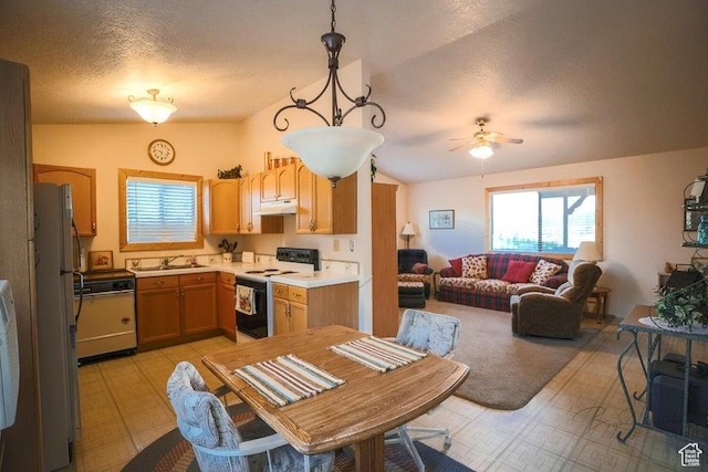 349 W 100 N, Pine Valley, UT 84781 - kitchen with range with electric stovetop, dishwashing machine, under cabinet range hood, freestanding refrigerator, and light countertops
