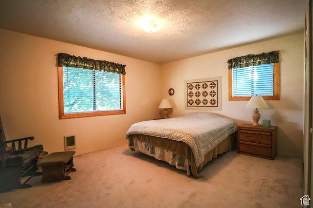 349 W 100 N, Pine Valley, UT 84781 - bedroom with multiple windows, light carpet, and a textured ceiling