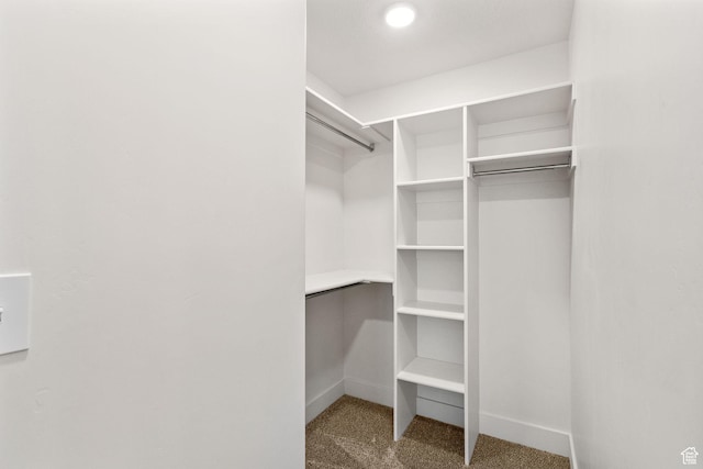 917 N 100 W, Nephi, UT 84648 - walk in closet featuring carpet floors