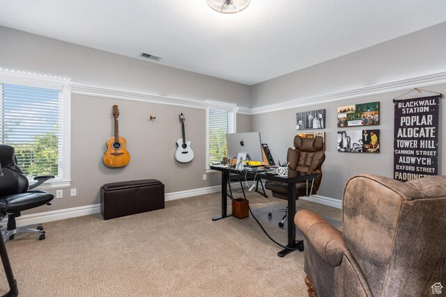 2204 N Bridge Water Rd, Cedar City, UT 84721 - office area with light carpet and baseboards