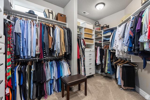 2204 N Bridge Water Rd, Cedar City, UT 84721 - spacious closet featuring carpet flooring