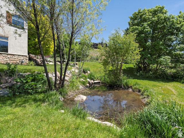 5577 E Elkhorn Dr, Eden, UT 84310 - view of yard