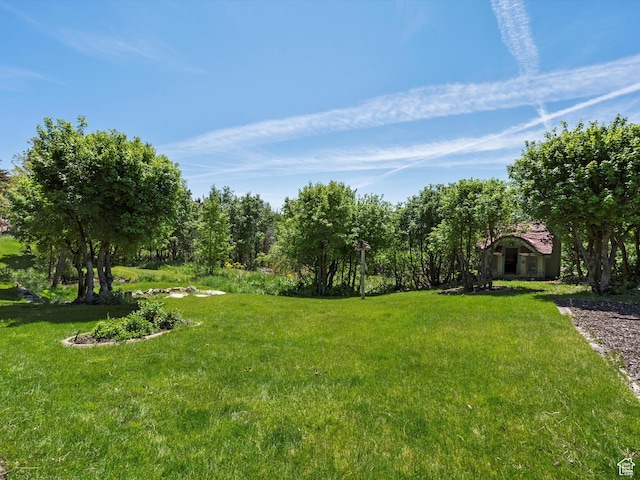 5577 E Elkhorn Dr, Eden, UT 84310 - view of green lawn