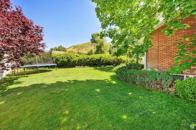 1607 Mountain Cir, Fruit Heights, UT 84037 - view of grassy yard featuring a trampoline