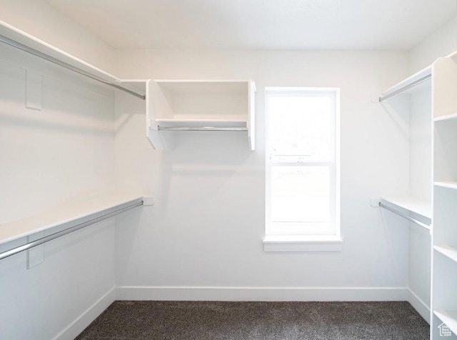 709 E 2450 N, North Logan, UT 84341 - walk in closet with carpet floors