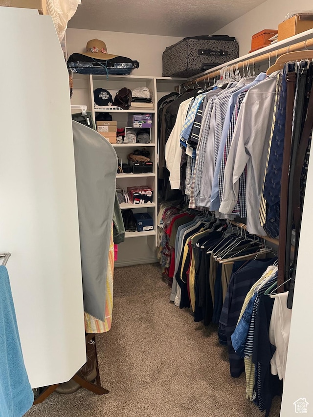 536 E 2200 N, North Ogden, UT 84414 - spacious closet featuring carpet floors