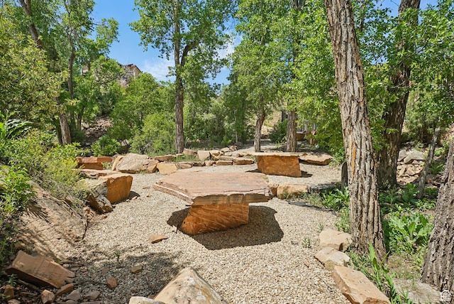 3041 Cedar Dr, Park City, UT 84098 - view of yard