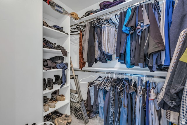 3041 Cedar Dr, Park City, UT 84098 - view of spacious closet