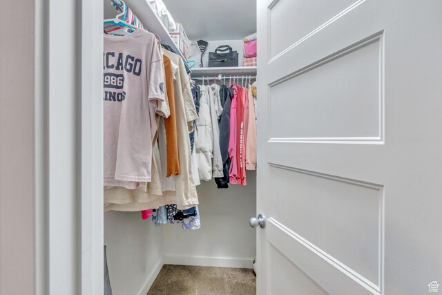 10394 S Crow Wing Dr, South Jordan, UT 84009 - walk in closet with carpet