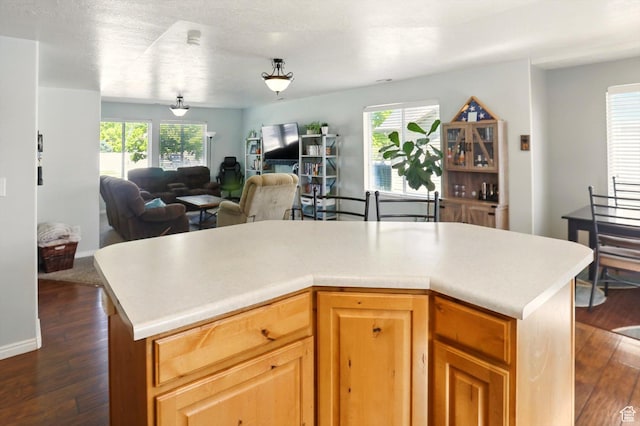 679 S Trail Cir W, Logan, UT 84341 - kitchen with dark wood-style floors, open floor plan, light countertops, and a center island