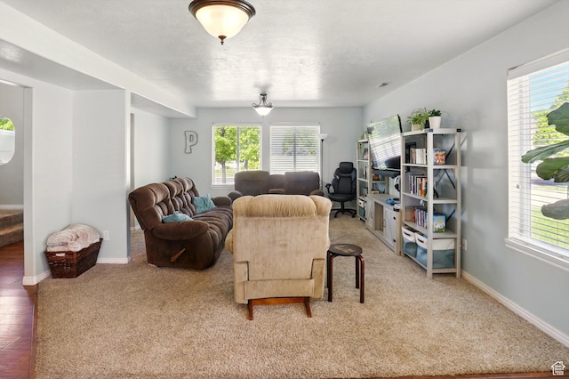 679 S Trail Cir W, Logan, UT 84341 - carpeted living area featuring plenty of natural light and baseboards