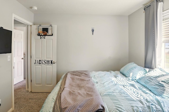 679 S Trail Cir W, Logan, UT 84341 - view of carpeted bedroom
