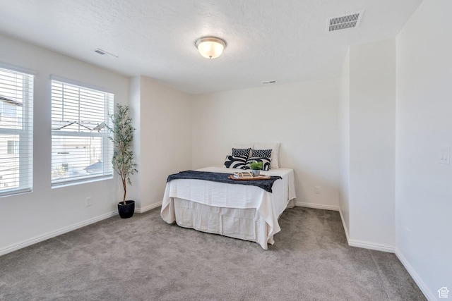 97 E Polaris Dr S Unit 394, Saratoga Springs, UT 84045 - bedroom with carpet floors, a textured ceiling, and baseboards