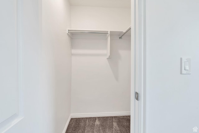 97 E Polaris Dr S Unit 394, Saratoga Springs, UT 84045 - spacious closet with carpet floors