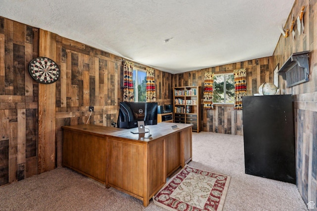 2620 Crow Loop, Coalville, UT 84017 - home office with light colored carpet, wood walls, and a textured ceiling