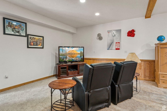 2620 Crow Loop, Coalville, UT 84017 - home theater room with light carpet, wainscoting, wooden walls, recessed lighting, and baseboards