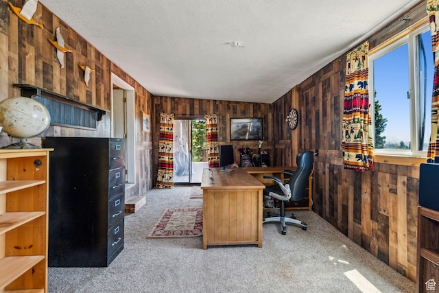 2620 Crow Loop, Coalville, UT 84017 - carpeted home office featuring wooden walls and a textured ceiling