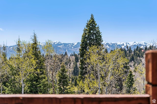 2620 Crow Loop, Coalville, UT 84017 - mountain view