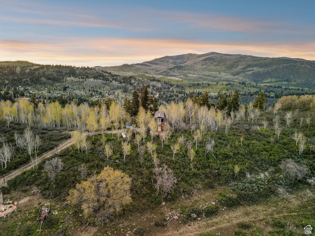 2422 S Valley View Cir, Coalville, UT 84017 - mountain view