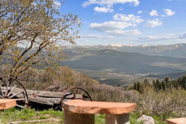 2422 S Valley View Cir, Coalville, UT 84017 - mountain view