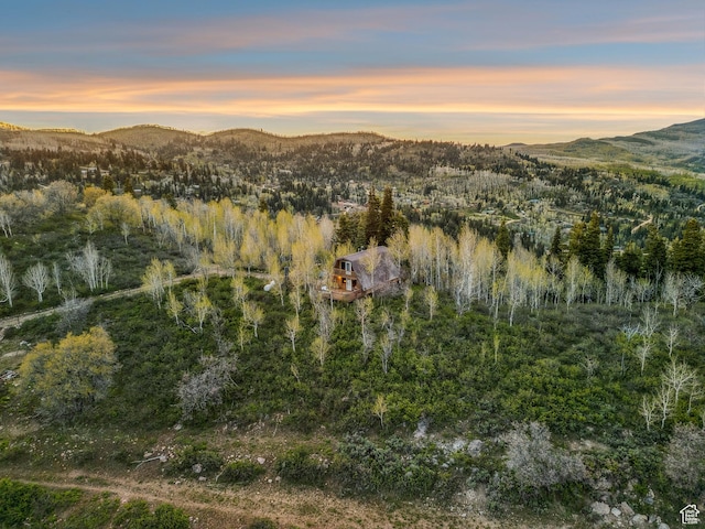 2422 S Valley View Cir, Coalville, UT 84017 - mountain view