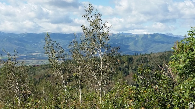 2422 S Valley View Cir, Coalville, UT 84017 - mountain view with a forest