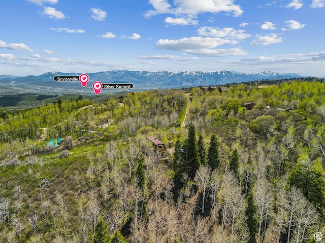 2422 S Valley View Cir, Coalville, UT 84017 - mountain view featuring a forest