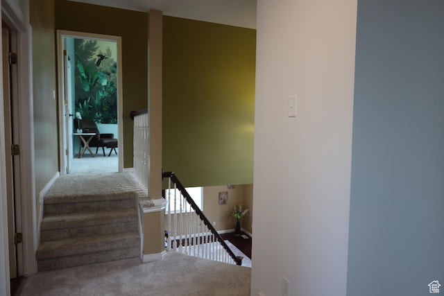 5208 W Case Rd, West Jordan, UT 84081 - stairs featuring carpet and baseboards