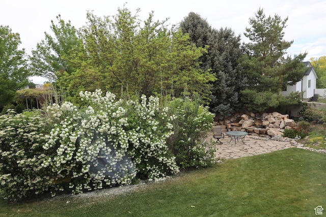 5208 W Case Rd, West Jordan, UT 84081 - view of green lawn with a patio