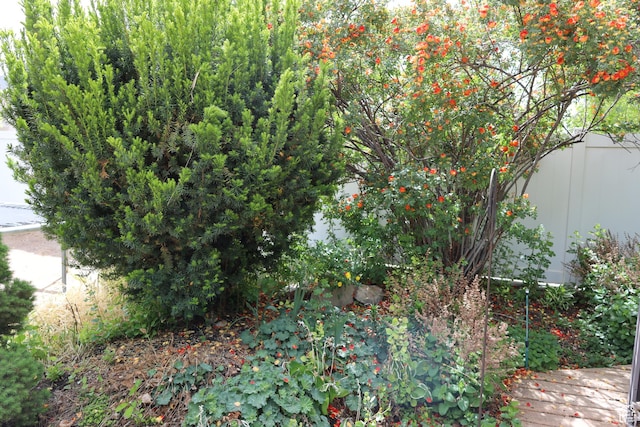 5208 W Case Rd, West Jordan, UT 84081 - view of yard