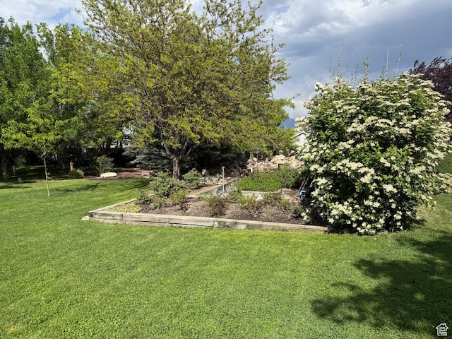5208 W Case Rd, West Jordan, UT 84081 - view of grassy yard
