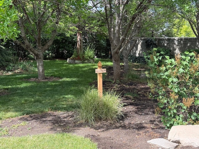 5208 W Case Rd, West Jordan, UT 84081 - view of green lawn