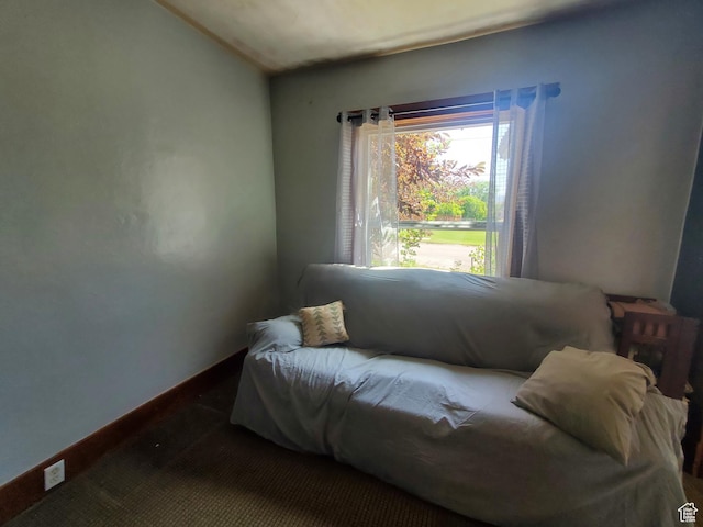 309 S 9th St, Montpelier, ID 83254 - photo 9