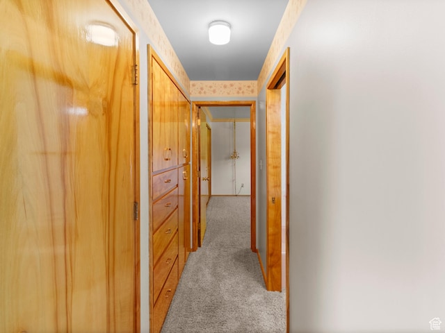 235 E 800 N Unit 2, Tremonton, UT 84337 - corridor with light colored carpet