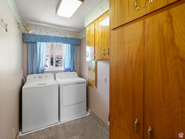 235 E 800 N Unit 2, Tremonton, UT 84337 - laundry room with washer and clothes dryer, cabinet space, and carpet