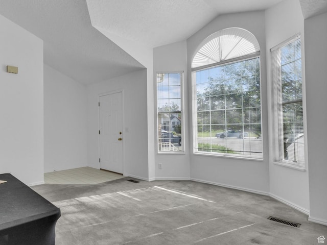 4853 W Ticklegrass Rd, West Jordan, UT 84081 - entrance foyer featuring carpet flooring, lofted ceiling, a textured ceiling, and baseboards