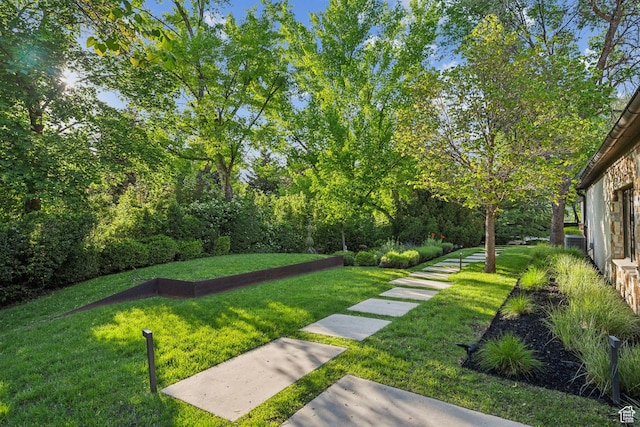 2067 E Pheasant Cir, Holladay, UT 84121 - view of grassy yard