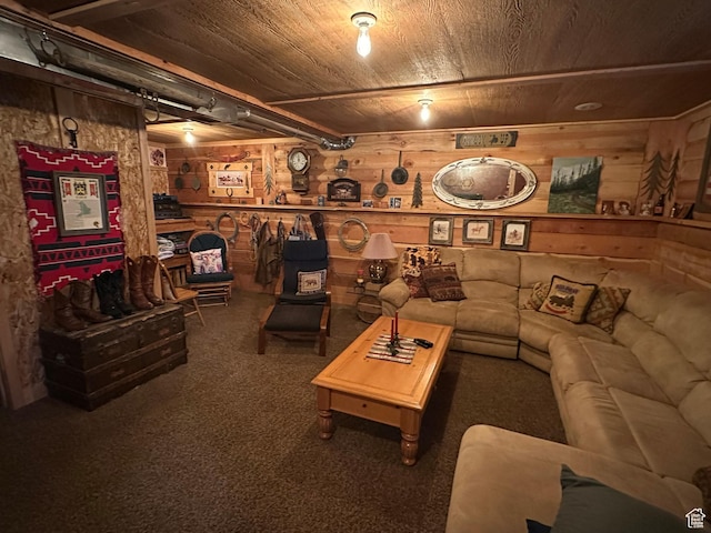 9281 N Uinta Dr Unit 348, Oakley, UT 84055 - living area with carpet flooring and wooden walls